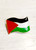 Palestinian Flag enamel badge