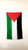 PALESTINE FLAG