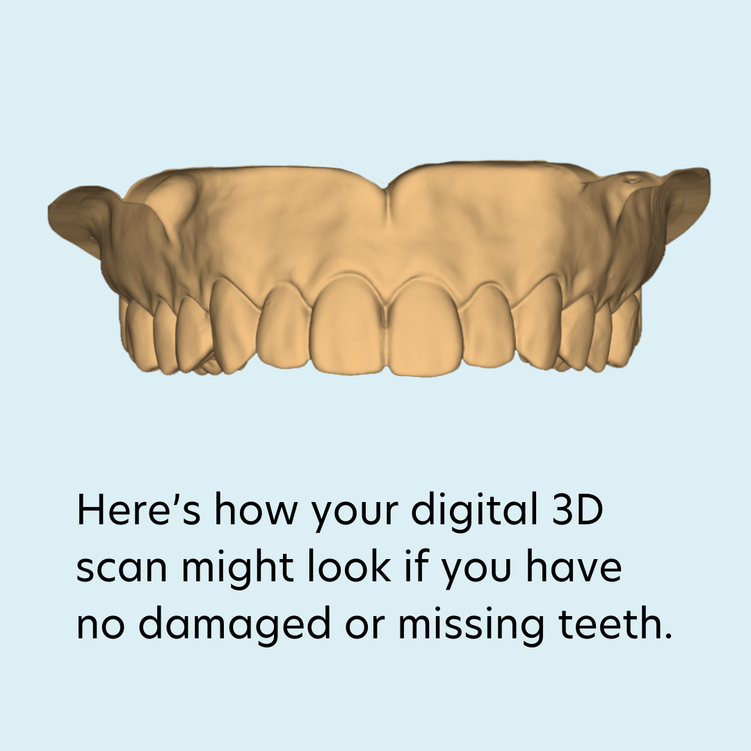 3D Scan of a person with no missing teeth