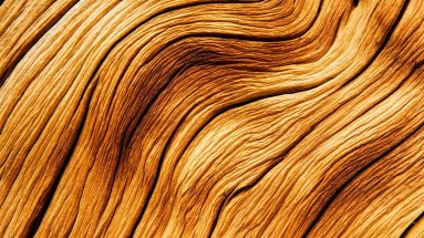 Pavimento Color Cemento Pavimento Color Cemento CHELSEA PERLA 60x60cm Ceramic  Floor tile by Futura Cerámica, image size:1280x719