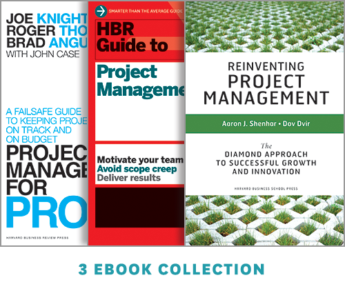 Mastering Project Management Set