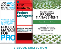 Mastering Project Management Set ^ 1076BN