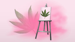 Research: Does Cannabis Really Make You More Creative? ^ H07AZJ