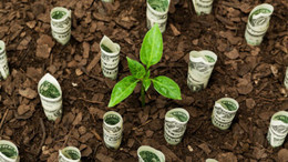 Yes, Investing in ESG Pays Off ^ H06Z55