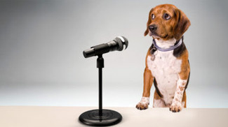 To Overcome Your Fear of Public Speaking, Stop Thinking About Yourself ^ H055KX