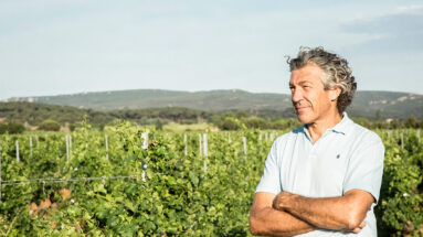 The CEO of Gérard Bertrand Group on Turning a Family Wine Business into a Global Brand ^ R2401A