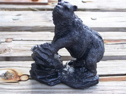 Bear on Rock