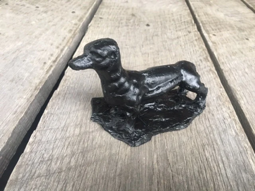 Dachshund