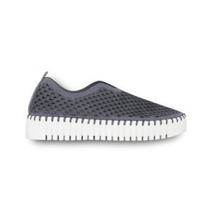 636-BLUEGREY 636-BLUEGREY