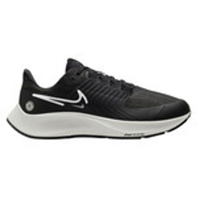 Air zoom 2024 pegasus sale womens