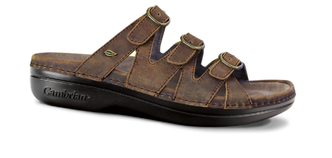 DARK BROWN
