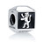 Lion of Judah Bead Charm Lion of Judah Bead Charm