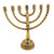 7 Branch Menorah