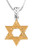 Star of David Necklace in Silver and Gold