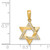 14K Yellow Gold Star of David Pendant with CZ Crystals