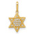 10K Yellow Gold Star of David Pendant with Cubic Zirconia