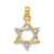 10K Two-Tone Gold Star of David Pendant 