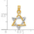 10K Two-Tone Gold Star of David Pendant 