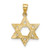 14K Solid Gold Satin Star of David Pendant