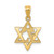 14K Yellow Gold LOVE Star of David Pendant