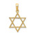 10K Yellow Gold Star of David Pendant