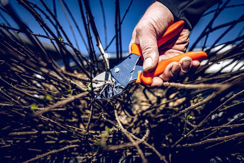 Lowe 1.104 Anvil Pruner - Thumbnail 3