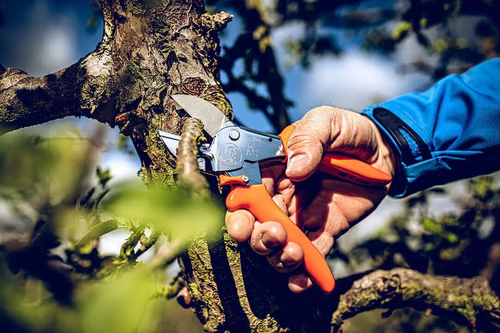 Lowe 1.104 Anvil Pruner - Thumbnail 5