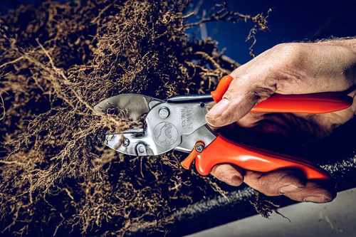 Lowe 1.104 Anvil Pruner