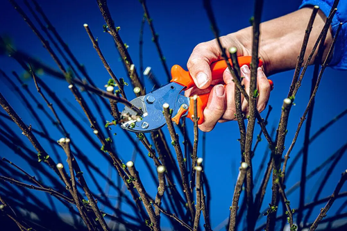 Lowe 5.107 Small Anvil Pruner Lowe 5.107 Small Anvil Pruner