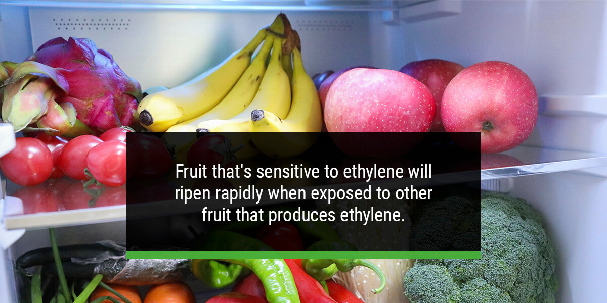 How Does Ethylene Affect Fruit Ripening? QA Supplies
