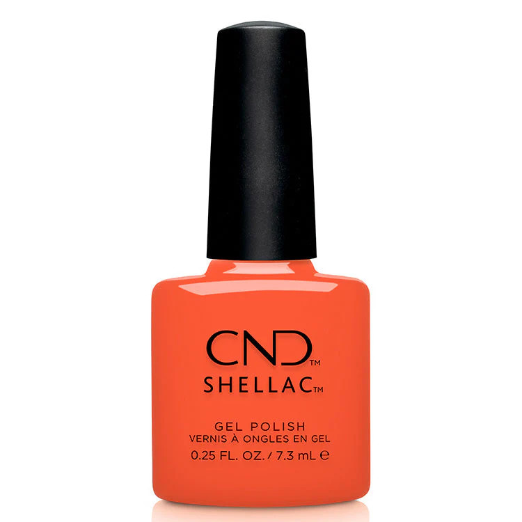 shellac-ignighted__55980.