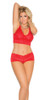 Plus Size Red Stretch Lace Camisole Set