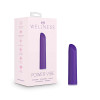 Wellness Power Vibe Bullet Vibrator