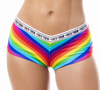 They/Them Rainbow Print Boyshort