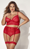 Plus Size Red Heart Lace and Stripe Mesh Bra Set