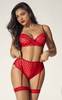 Red Heart Lace and Stripe Mesh Bra Set
