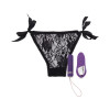 Purple Remote Control Bullet with Adjustable Black Lace Panty