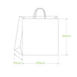 300x170x305mm Large Twist Handle Kraft Paper Bags