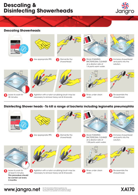 Descaling & Disinfecting Showerheads (A4)