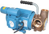 Pump - Heavy Duty 240v Utility AC Pump