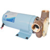 Pump - 'Utility-Puppy' Very High Flow Run-Dry 12v 