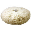 Double Sided Wool Cutting Screw-On Pad - 200mm 