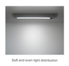 Light Distribution