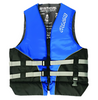 PFD Cyclone L50S