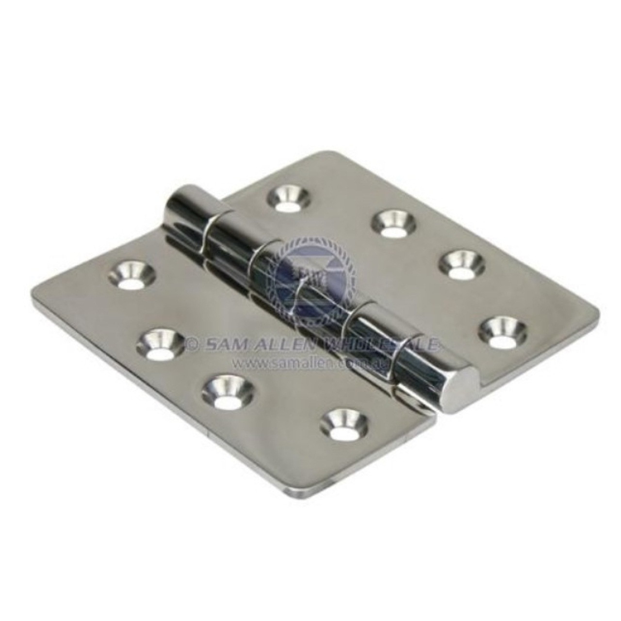 Robust Door Hinge Stainless Steel 100mm | ABS