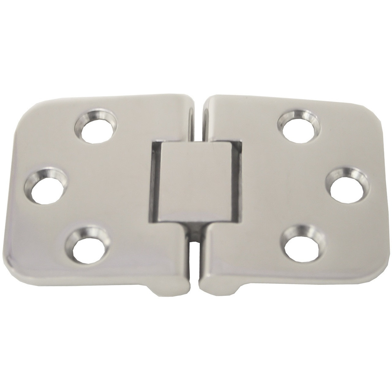 Dual Pin Hinge S/S