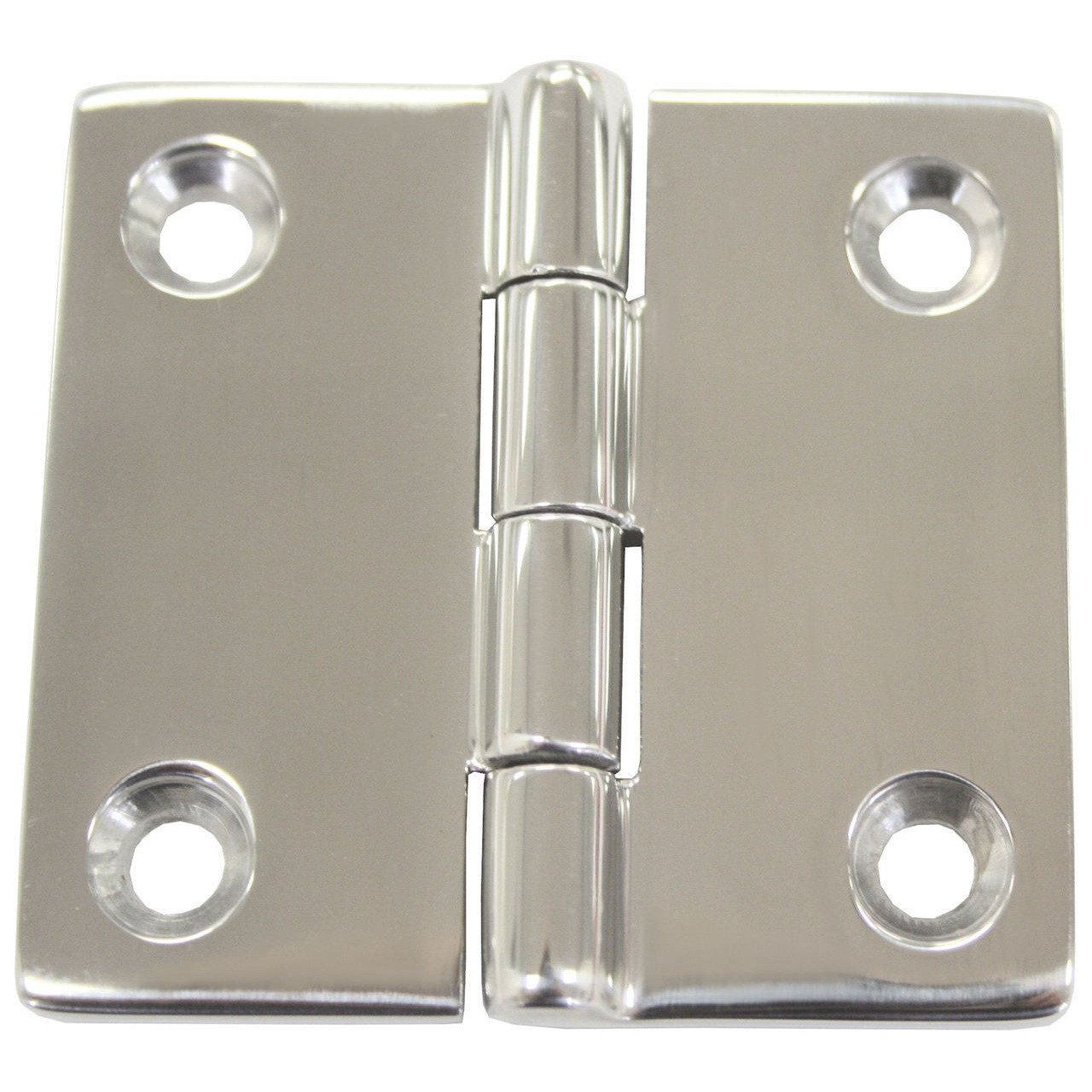Hinge -Butt 316 S/S 50x50
