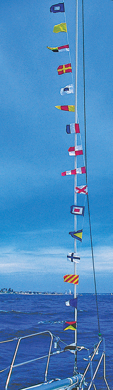 Code Flags - String of Pennants