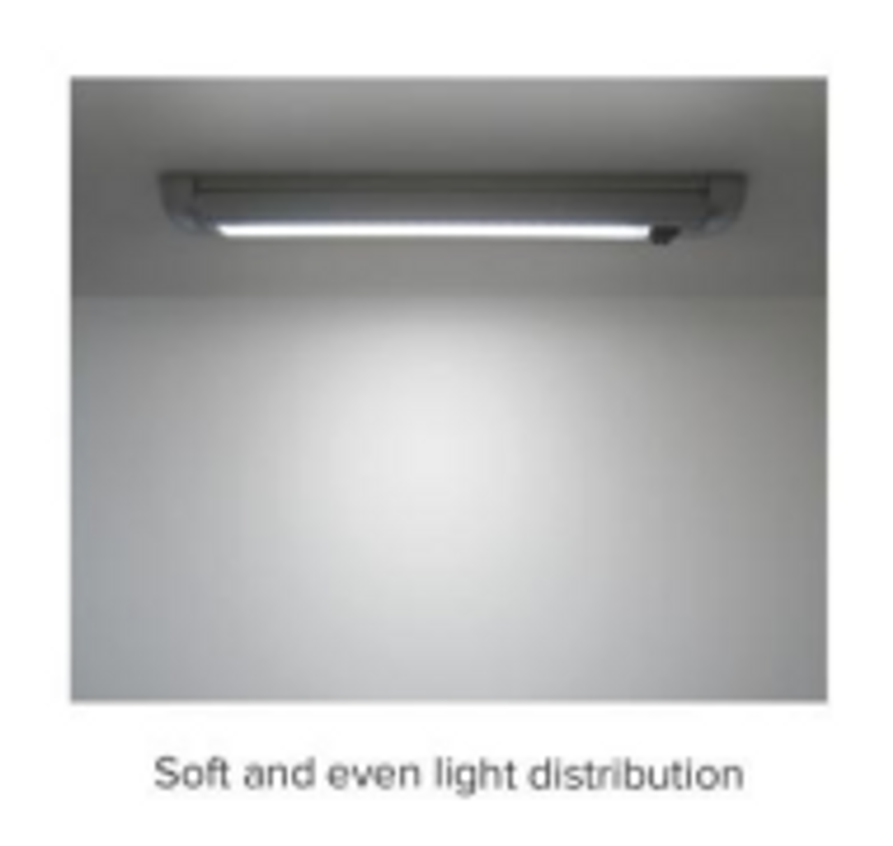 Light Distribution