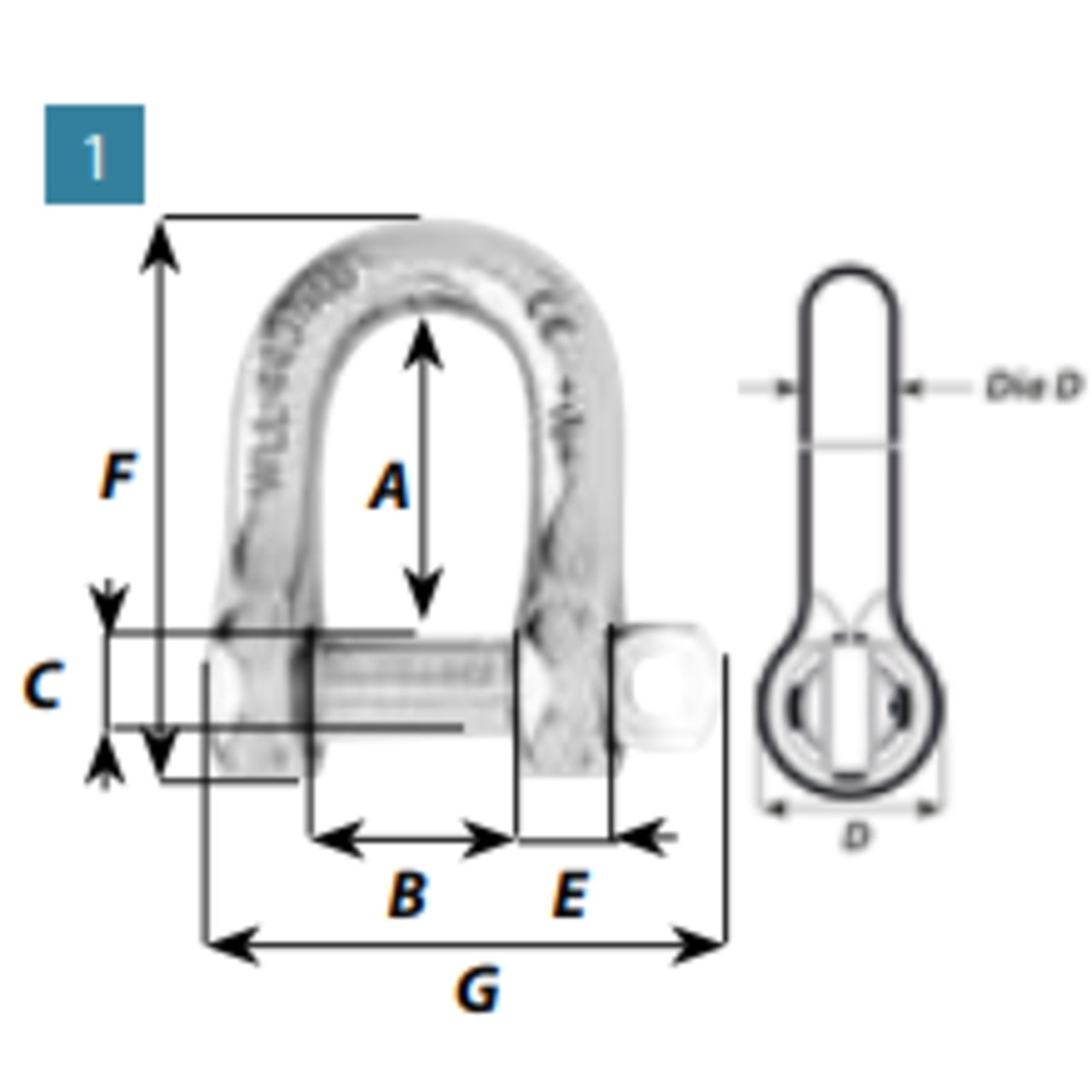 D Shackle Captive Pin
